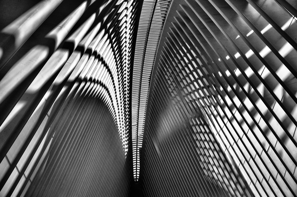 Monochrome Oculus Interior,  New York